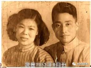 国产老头和老太,岁月流转中的温馨故事